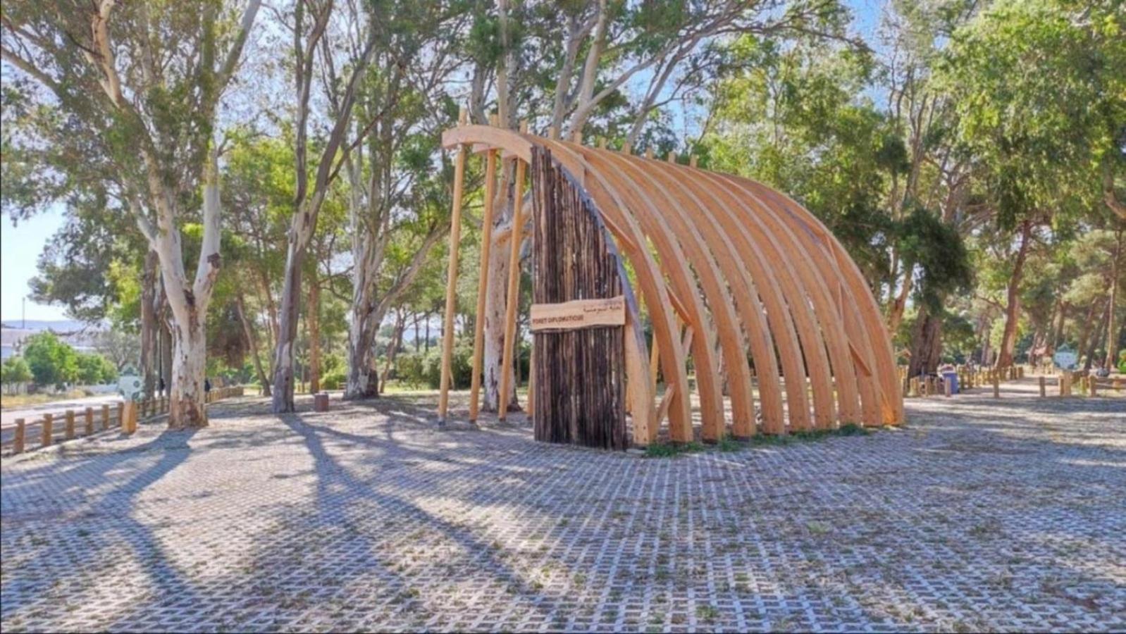 Charming, Peaceful House, Between Forest And Sea Tanger Exterior foto